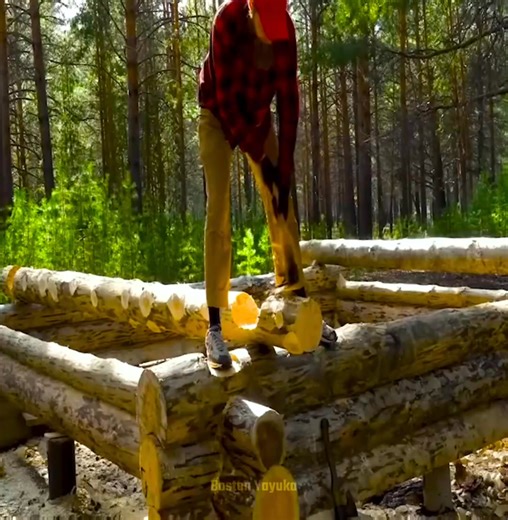 119K views · 1.3K reactions | A large log cabin is being constructed in the woods without anyone present | Boston Yayuka | Facebook