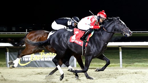 Chunk of Gold trainer, jockey, owner and more to know about 2025 Kentucky Derby horse