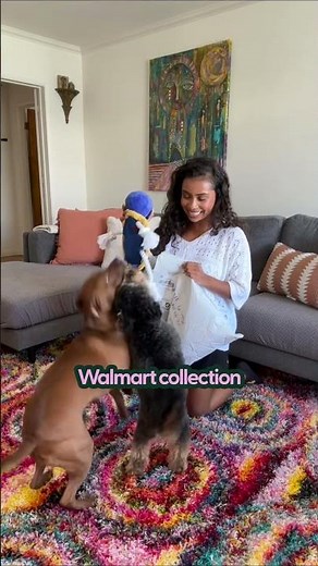 The Dodo's Pet Collection Is Now On Amazon | The Dodo