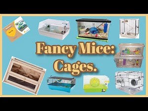 Cages for fancy mice
