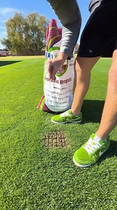 1.7M views · 10K reactions | Dog pee season is here again. #lawncare #lawnrepair #lawnseed | The Lawn Tools | Facebook