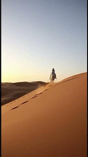 Stunning Blonde Riding a Horse