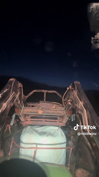 Feeding Cows on the Farm: A Day in the Life