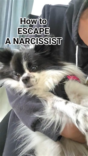 How to leave a narc #narcissism #narcissist #narcissistabuse #npd #lifeadvice
