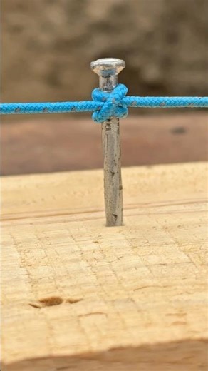 1 Of The Top Knot In The World!