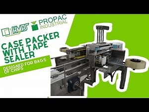 RSC Casepacker with Tape Sealer Solution for Chips Production