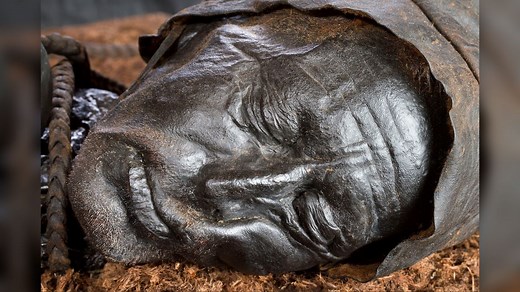 Last meal of ancient human sacrifice victim 'Tollund Man' revealed in exquisite detail
