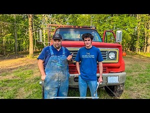 RESULTS of the ECOLOGICAL IMPACT study of DRAFT ANIMAL LOGGING..#214 #mules #horselogging #logging