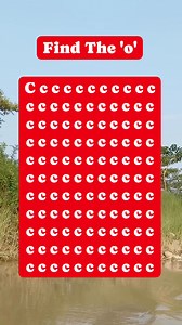 147K views · 536 reactions | #brainteaser #search #find #puzzle | Riddle & Puzzle | Facebook