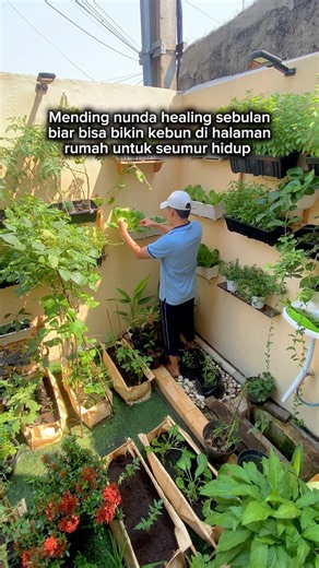 Berkebun Di Halaman Rumah #berkebun