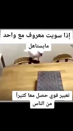 حسابات مقترحة