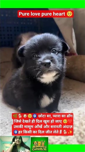 #radhakrishna #radheradhe #short #funny #viral #viralvideo #trending #youtubeshorts