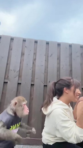 日光猿軍団のかわいいダンス