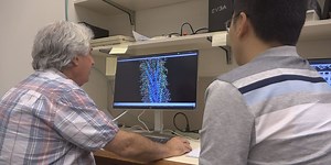 UVA makes sweet discovery on making clothes indestructible