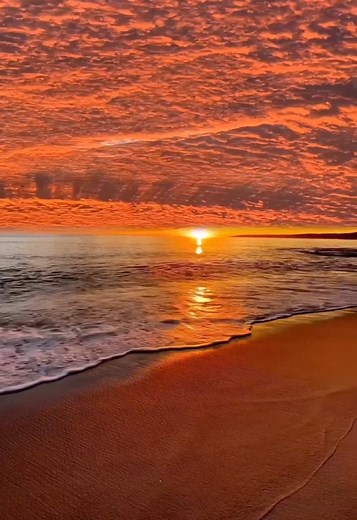 X見てみ飛ぶぞ🔥 #海 #ウォータースライダー #おすすめ