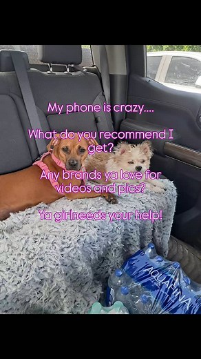 Help!!! My Galaxy A23 keeps freezing up and I have to hard reset ALOT! Guess it's time to let my 🦕 🦖 go :( | Kimberly Morton