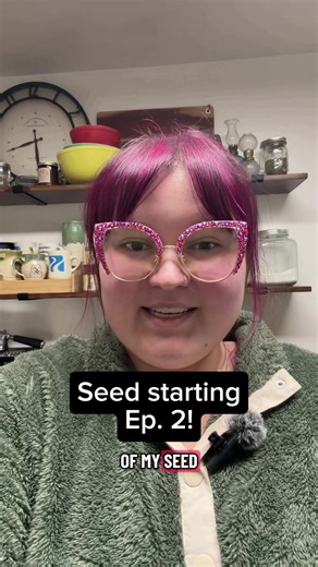 Some of the places I like to purchase seeds online! @burpeegardening @seeds_n_such @bakercreekseeds @epicgardening @anniesheirloomseeds @reneesgardenseeds @johnnys_seeds @gurneysseed - Notes on last frost date: Your last frost date isn’t a guarantee that there won’t be any more frost, it’s just the average last date of years past - so when we get closer to that time, you just have to keep an eye on the extended weather to know if it will be safe to take your plants outside! Also! I’m in growing 