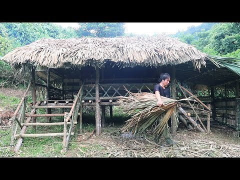 Build A Survival Shelter: Survival Alone In The Rainforest | EP.67