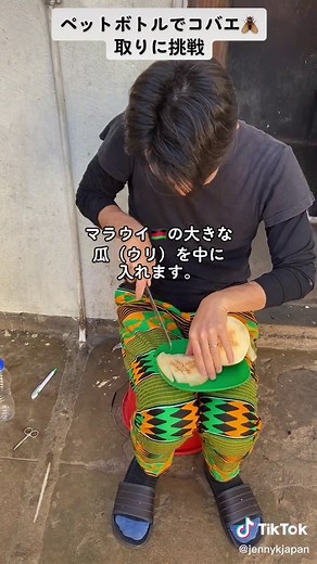 アフリカのコバエ駆除対策とDIYトラップ