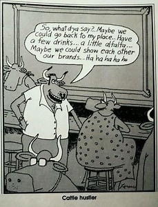 17K views · 174 reactions | So, what d'ya say?.. Maybe we could go back to my place... Have a few drinks... | Shine On Media | Facebook