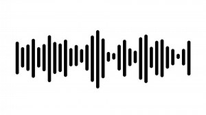 Sound Wave Animation Black Bars On Stock Footage Video (100% Royalty-free) 1098054579 | Shutterstock