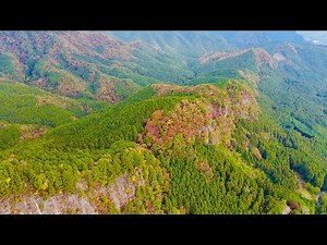 屏風岩 #紅葉,#空撮,#絶景