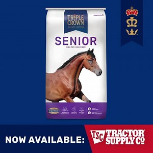 Is your aging horse having trouble keeping weight on? With a higher nutrient and fat content, Triple Crown Senior is a soft, beet pulp-based formula designed to meet the nutritional needs of horses as they get older. | Triple Crown Feed