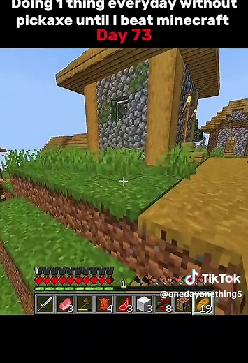 One Task Everyday in Minecraft Challenge