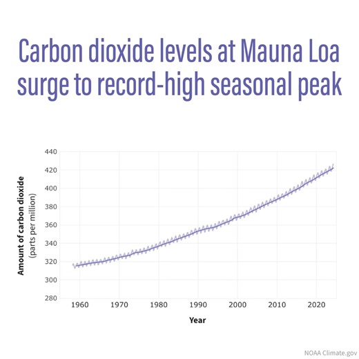 Another one for the books 🌡️ NOAA says carbon dioxide is accumulating in the atmosphere faster than ever — and the period from 2022 to 2024 just saw the largest two-year jump in atmospheric CO2 concentrations in human existence, NOAA scientists announced today. “Over the past year, we’ve experienced the hottest year on record, the hottest ocean temperatures on record and a seemingly endless string of heat waves, droughts, floods, wildfires and storms,” said NOAA Administrator Rick Spinrad, Ph.D
