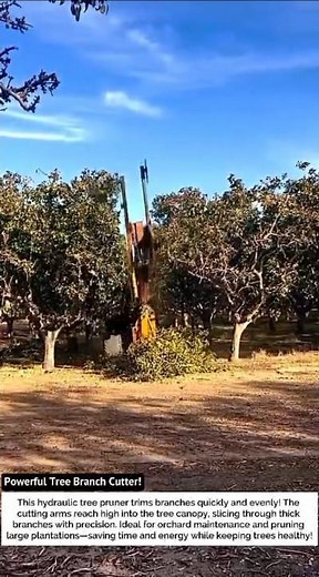 Powerful Tree Branch Cutter! Automatic Tree Trimming Technology 🌳⚙️