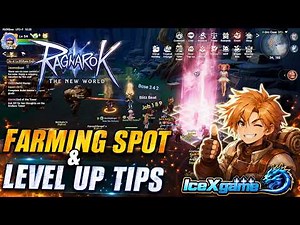 Ragnarok The New World Farming Spot & Level Up TIPS