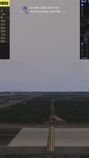 Go Around Immediately! | VATSIM Plane Spotting (EDDF) ✈️