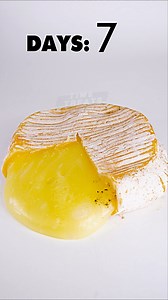 Rotting Camembert cheese in Timelapse 🪰😂#satisfying #decay #timelapse | Time Treats