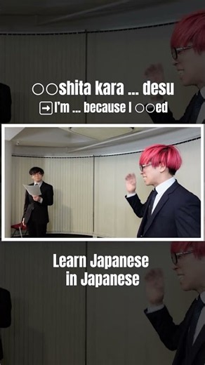Learn Japanese in Japanese through images, gestures, and context