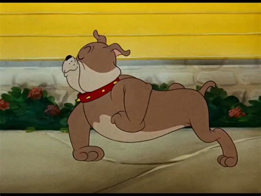 tom__and__jerry__mm | Fraidy Cat (1942) Like , comment & follow me for more cartoonsfollow @tom_and_jerry___mm _ for more :Tom and Jerry is the classic comedy... | Instagram