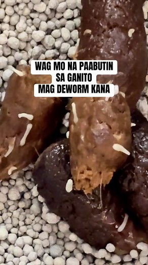 Grumpy Shop PH on TikTok