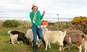 Lunan Bay's Goat Talent: The enterprising farming couple producing first Scottish cashmere in 30 years