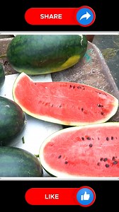 26K views · 239 reactions | Try This Ways Watermelon Growing  | Small Vegetable Garden | Facebook