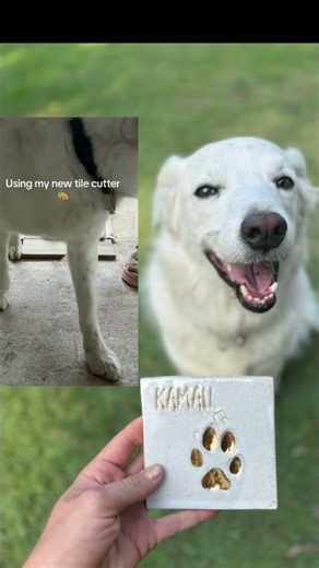 Making a Paw Print Keepsake in Clay - Finished Tile