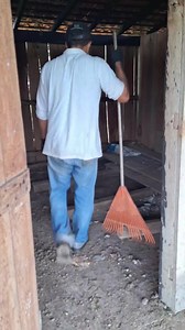 Concluímos a parte de limpeza da casa dos açudes. Agora é hora de iniciar o roço. #vidanaroça #rotina #limpeza #faxina #vidanafazenda #piscicultura #trabalho #fazenda | Felipe Amurim