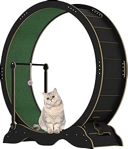 Amazon.com: 45.5" Cat Exercise Wheels, Cats Running Wheel with Detachable Carpeted Runway & Lock for Pet's Health and Entertainment, Large Cat Treadmill for Indoor Cats, Kitty's Longer Life, Black