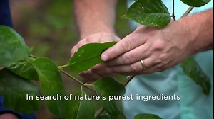 NutraMedix Parsley Herbal Supplement - Parsley Leaf and Stem Extract - Antioxidant Support, Body Detox & Cleanse Support - Liquid Herbal Supplements for Immune Health (1oz / 30ml)