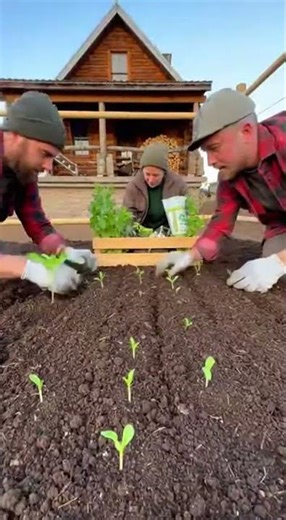 Building a Beautiful House From the Ground Up | Full Construction Process