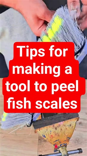 Tips for making a tool to peel fish scaler #trending #viral #tips #short