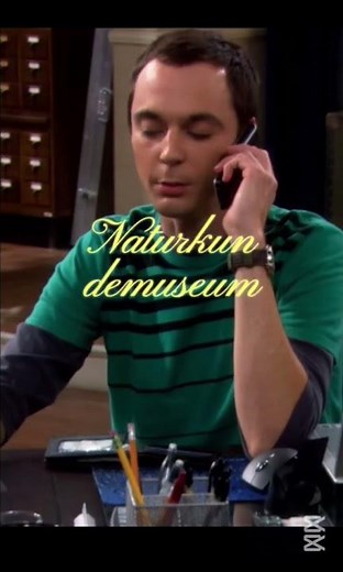 Sheldon's Kartenproblem 😱