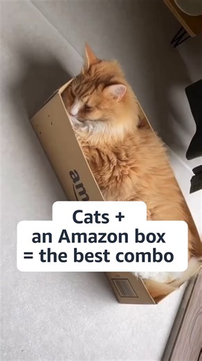 279K views · 872 reactions | Don't tell your cat, buuuut we're reducing the Amazon packaging we use for products that can be delivered safely without it. Sorry cats!  | Amazon.co.uk | Facebook