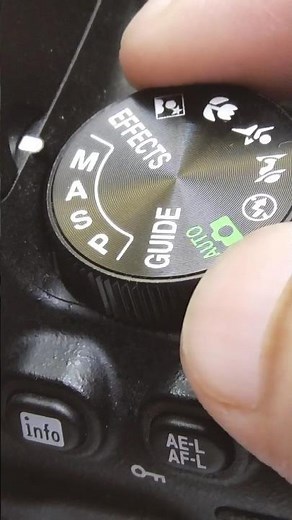 Nikon D5600 Camera Settings for Photography #shorts