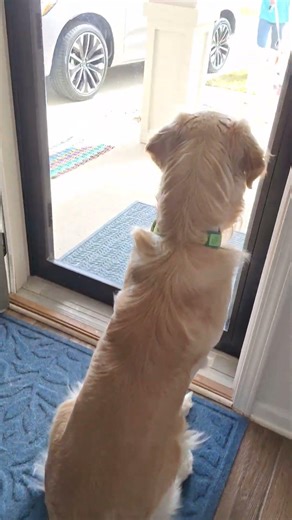 Sister Aster is home, Koa's call of the wild (howling) can stop now