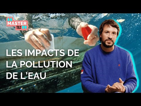 Quels sont les impacts de la pollution de l'eau ? | Marc Valmassoni