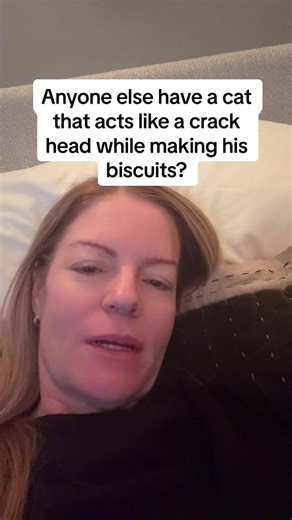 Finn the Cat's Unique Biscuit Behavior Explained